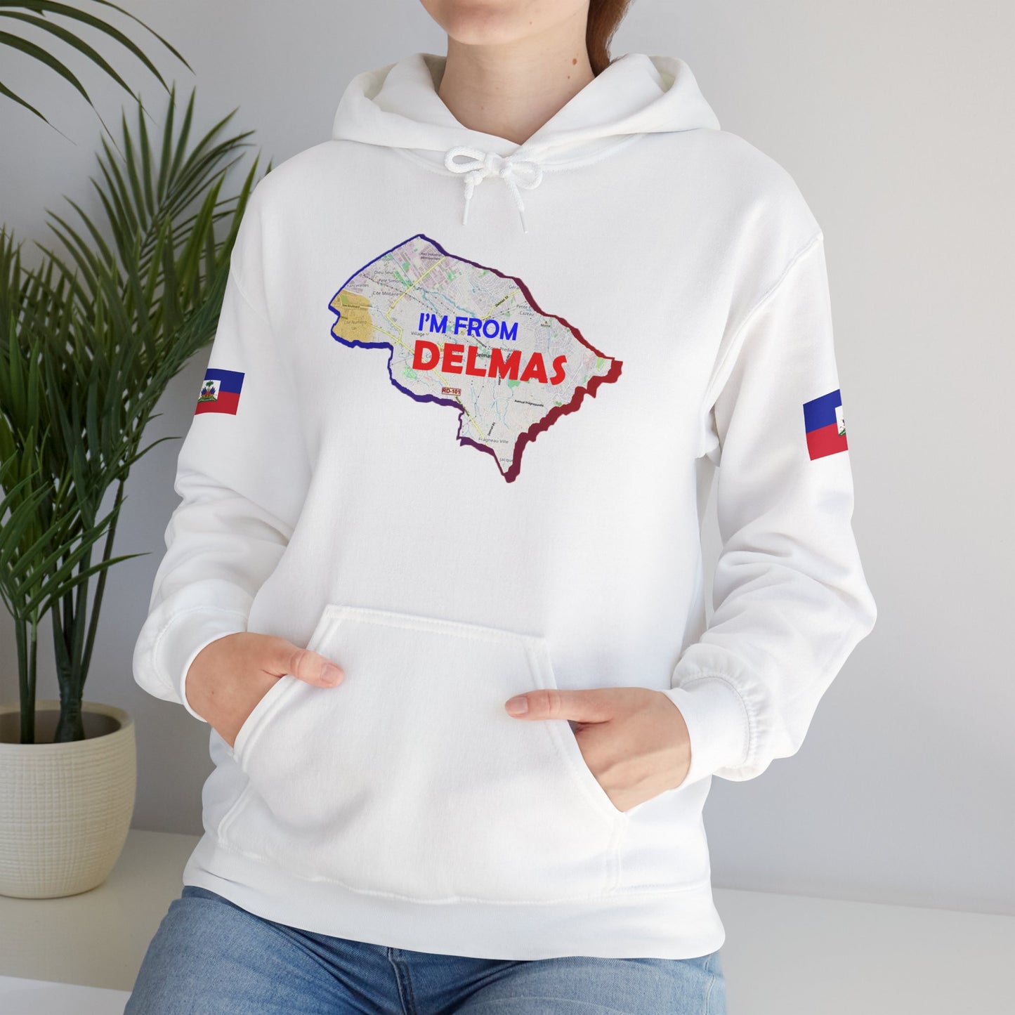 Delmas Pride Hooded Sweatshirt | Cozy Unisex Hoodie for Home, Travel, Special Occasions, Gifts, Fashion Statement