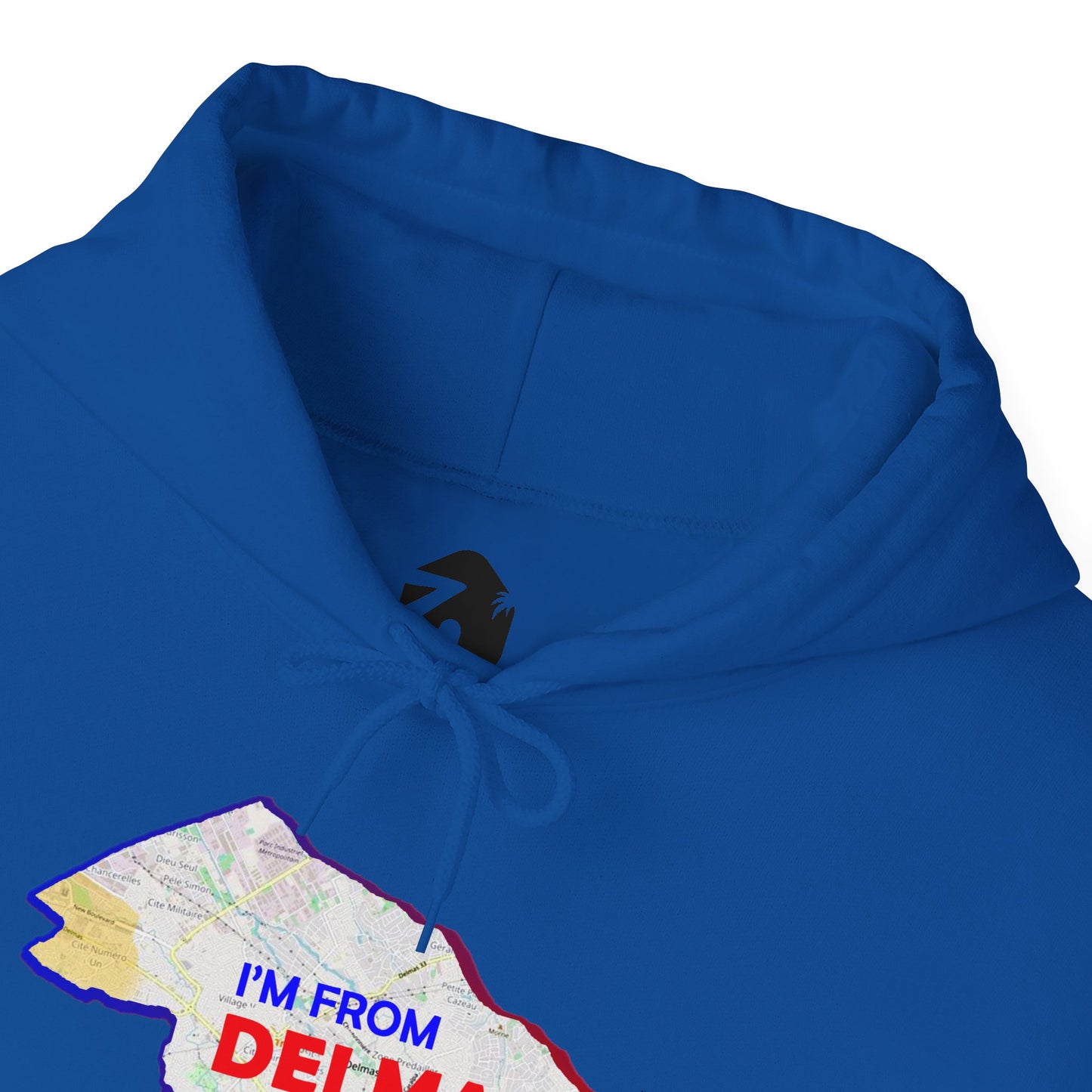 Delmas Pride Hooded Sweatshirt | Cozy Unisex Hoodie for Home, Travel, Special Occasions, Gifts, Fashion Statement