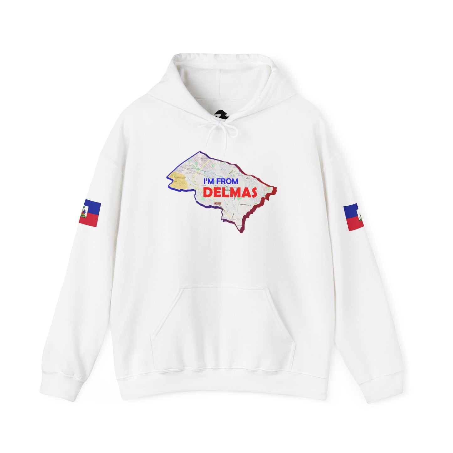 Delmas Pride Hooded Sweatshirt | Cozy Unisex Hoodie for Home, Travel, Special Occasions, Gifts, Fashion Statement