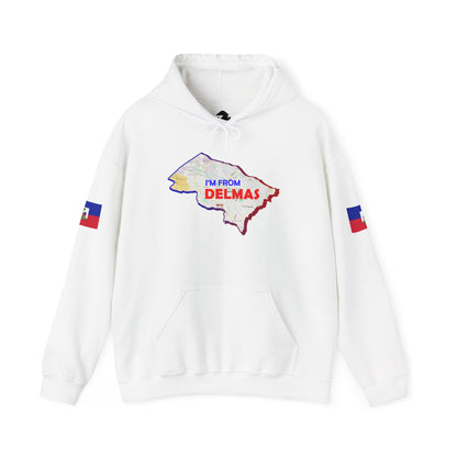 Delmas Pride Hooded Sweatshirt | Cozy Unisex Hoodie for Home, Travel, Special Occasions, Gifts, Fashion Statement