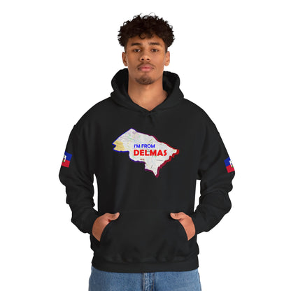 Delmas Pride Hooded Sweatshirt | Cozy Unisex Hoodie for Home, Travel, Special Occasions, Gifts, Fashion Statement