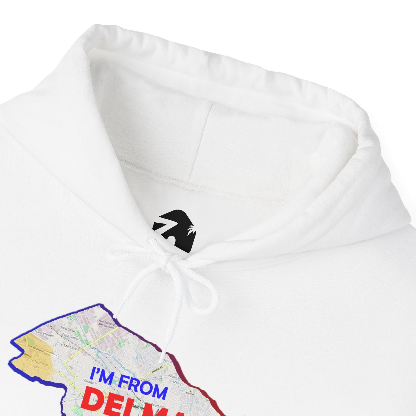 Delmas Pride Hooded Sweatshirt | Cozy Unisex Hoodie for Home, Travel, Special Occasions, Gifts, Fashion Statement