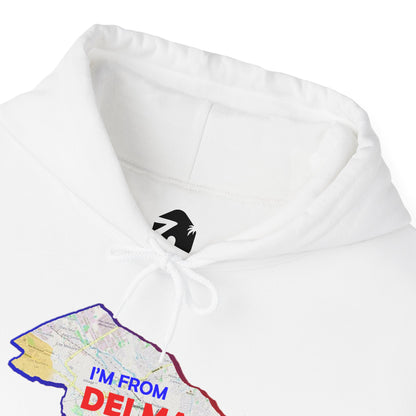 Delmas Pride Hooded Sweatshirt | Cozy Unisex Hoodie for Home, Travel, Special Occasions, Gifts, Fashion Statement