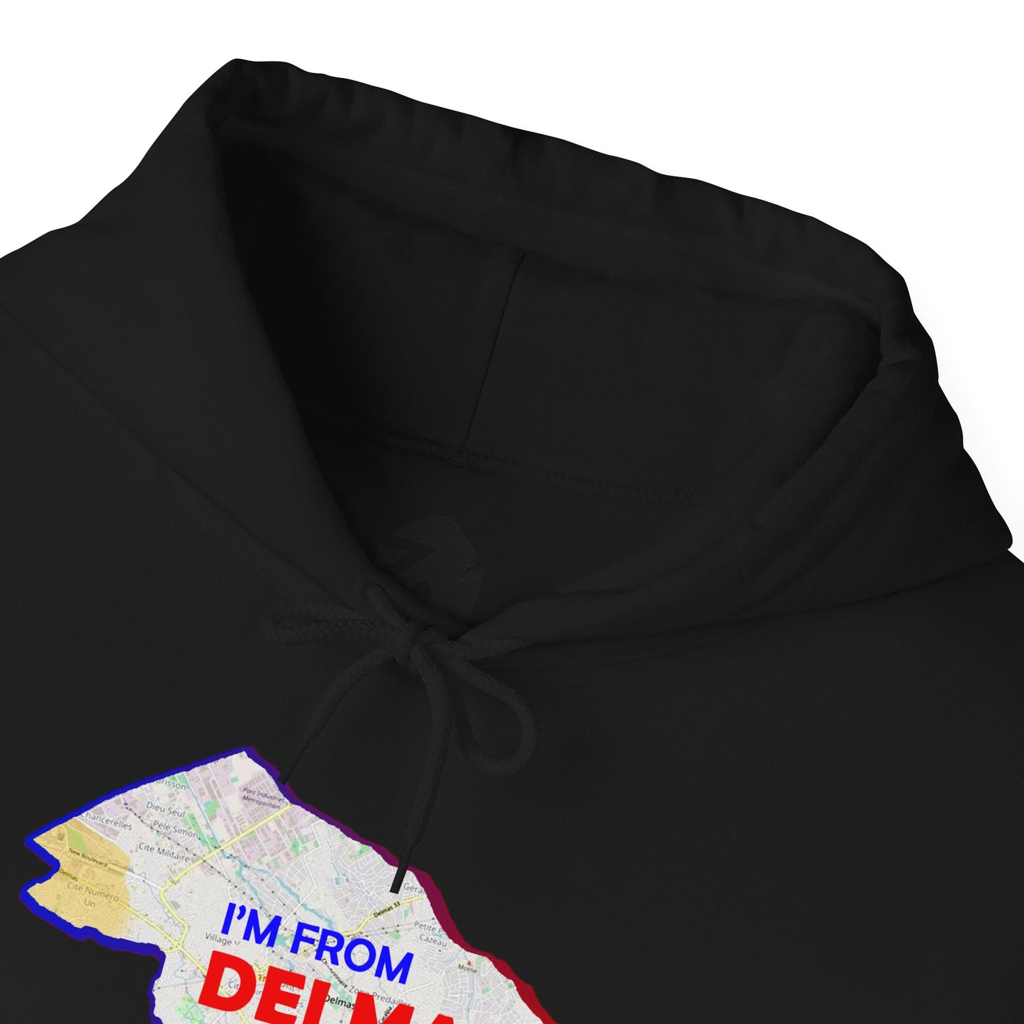 Delmas Pride Hooded Sweatshirt | Cozy Unisex Hoodie for Home, Travel, Special Occasions, Gifts, Fashion Statement